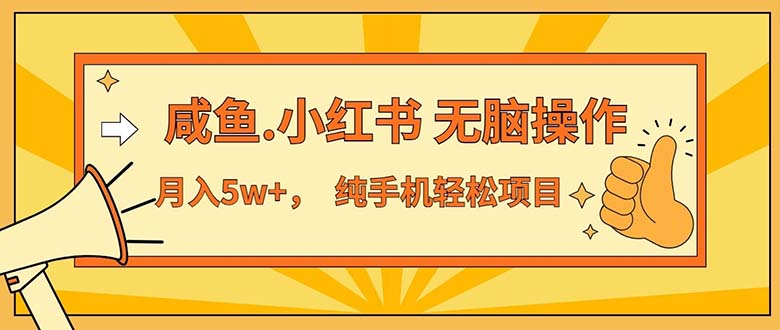 （11524期）2024最赚钱的项目，咸鱼，小红书无脑操作，每单利润500+，轻松月入5万+…-轻创淘金网