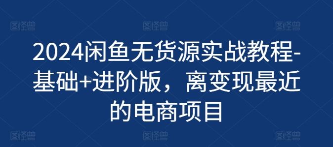 2024闲鱼无货源实战教程-基础+进阶版，离变现最近的电商项目-轻创淘金网