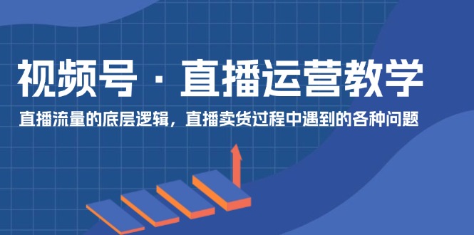 （11687期）视频号 直播运营教学：直播流量的底层逻辑，直播卖货过程中遇到的各种问题-轻创淘金网