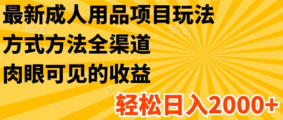 最新成人用品项目玩法，方式方法全渠道，肉眼可见的收益，轻松日入2000+-轻创淘金网