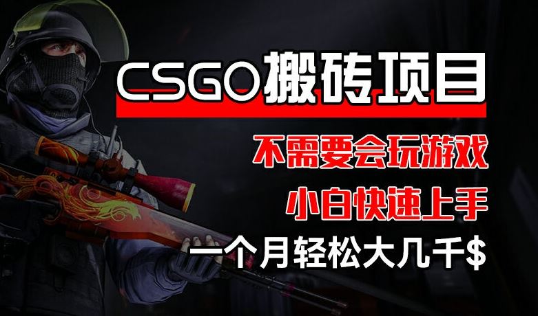 CSGO 装备搬砖项目，操作简单，不需要会玩游戏，小白也能快速上手，一个月轻松大几千【揭秘】-轻创淘金网