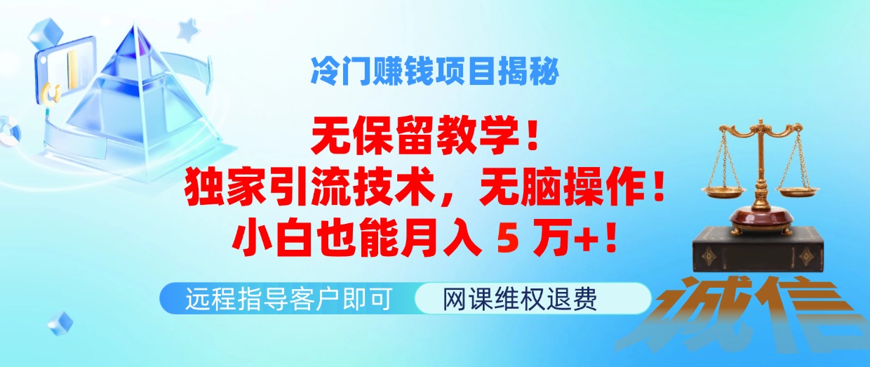 （11864期）冷门赚钱项目无保留教学！独家引流技术，无脑操作！小白也能月入5万+！-轻创淘金网