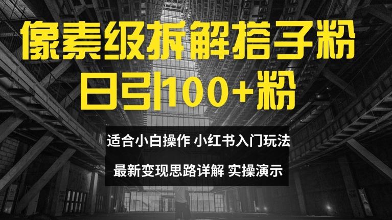 像素级拆解搭子粉，日引100+，小白看完可上手，最新变现思路详解【揭秘】-轻创淘金网